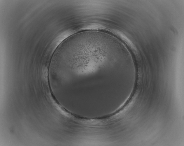 X0000112351329200908131420