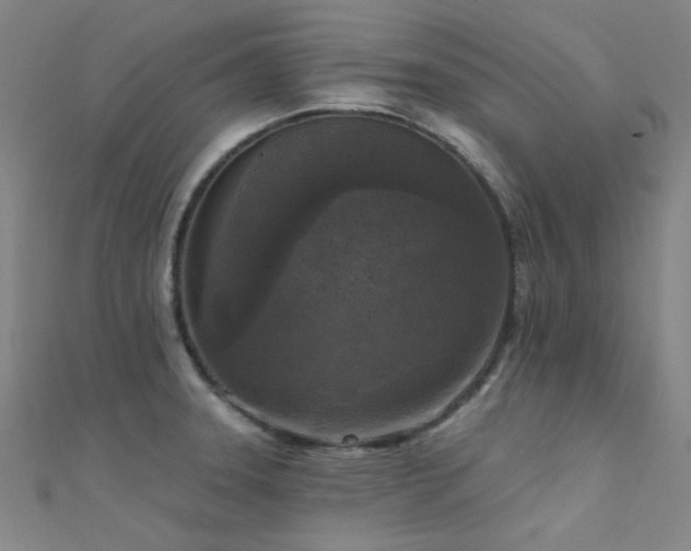 X0000112351331200908131420