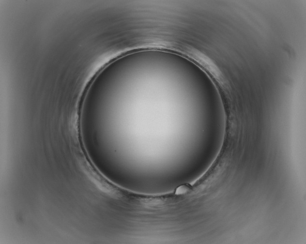 X0000112351332200908131420
