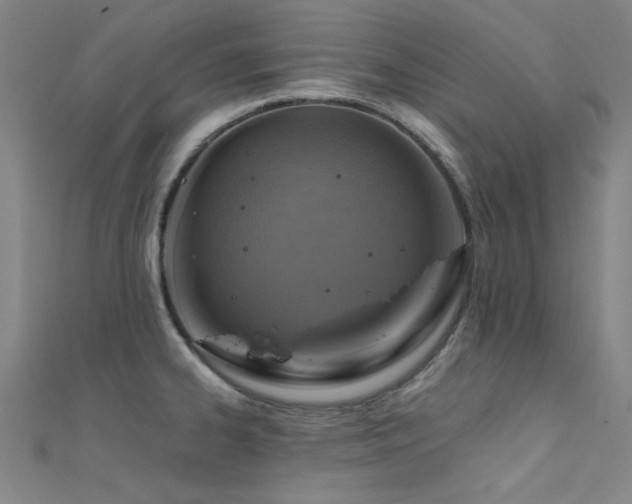 X0000112351334200908131420
