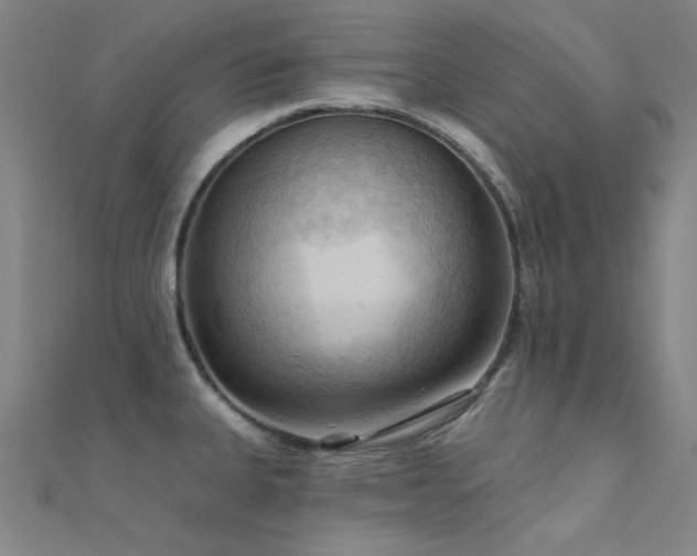 X0000112351335200908131420