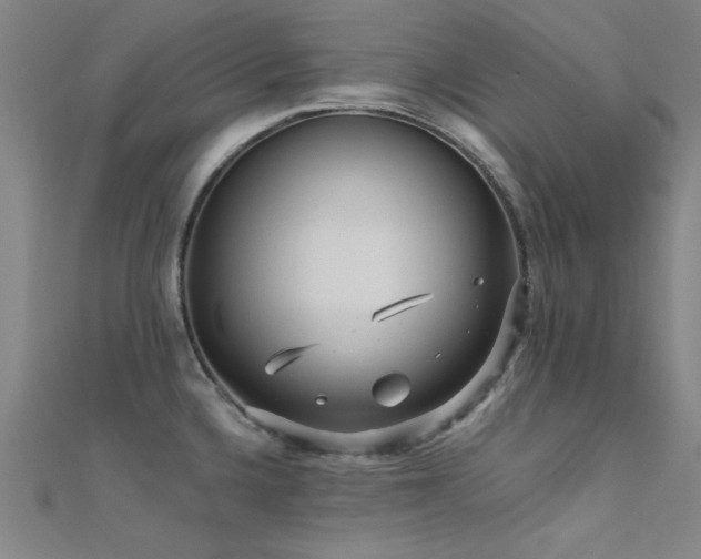 X0000112351336200908131420