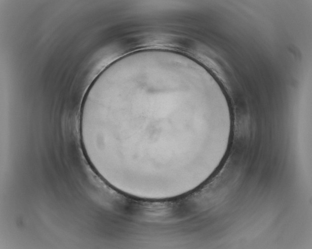X0000112351338200908131420