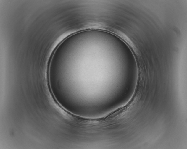 X0000112351339200908131420