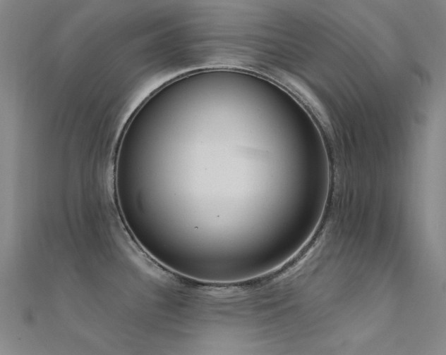 X0000112351340200908131420
