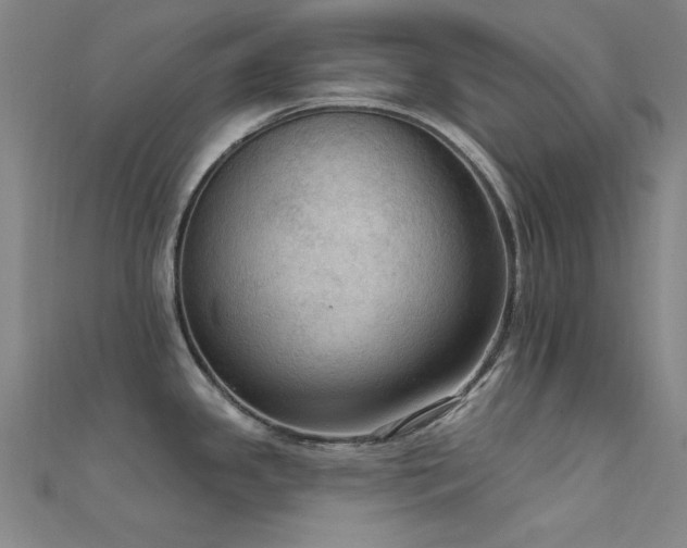 X0000112351341200908131420