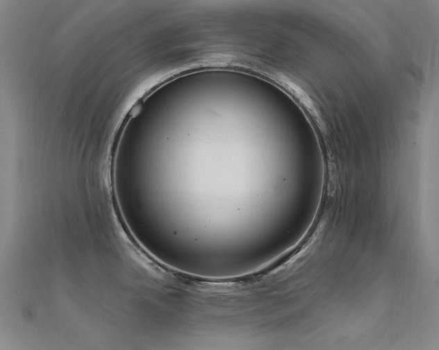 X0000112351342200908131420