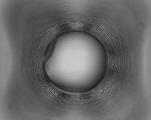 X0000112351345200908131419