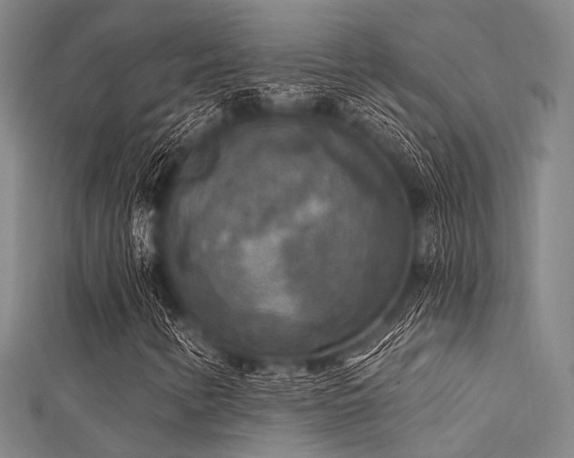 X0000112351346200908131419