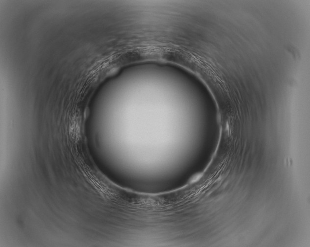 X0000112351348200908131419