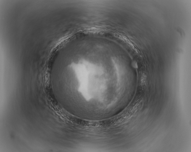 X0000112351350200908131419