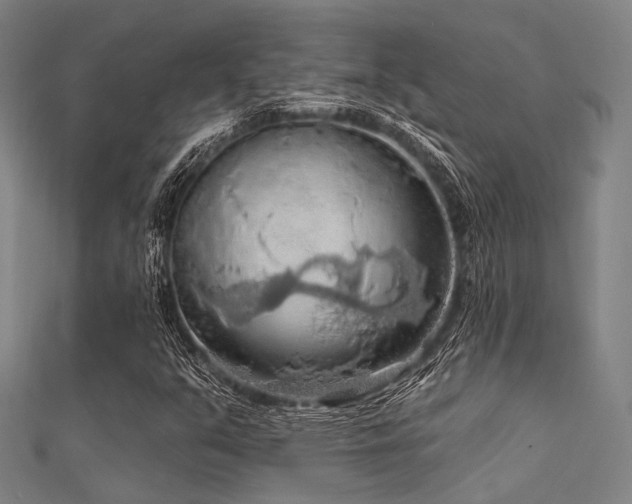 X0000112351351200908131419