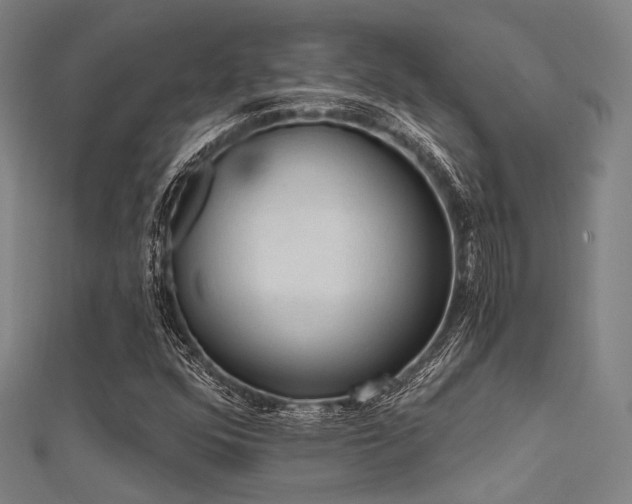 X0000112351352200908131419