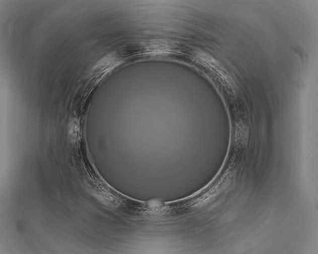 X0000112351353200908131419