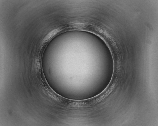 X0000112351354200908131419