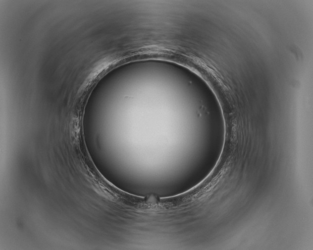 X0000112351355200908131419
