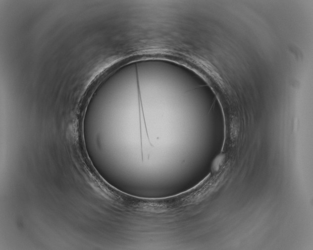 X0000112351356200908131419