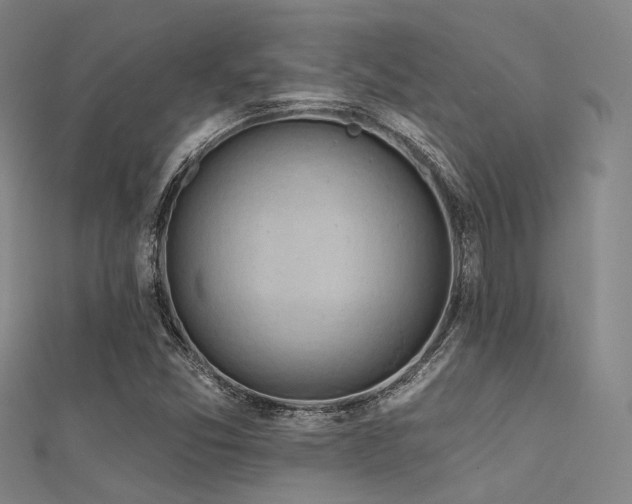 X0000112351357200908131419