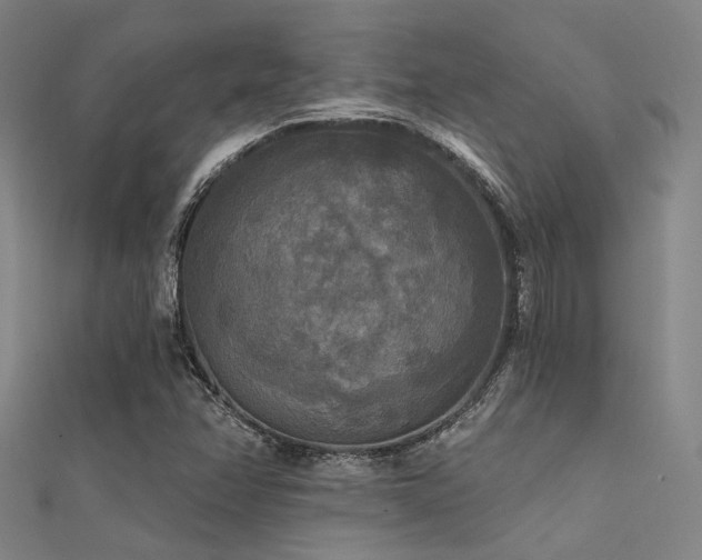 X0000112351358200908131419