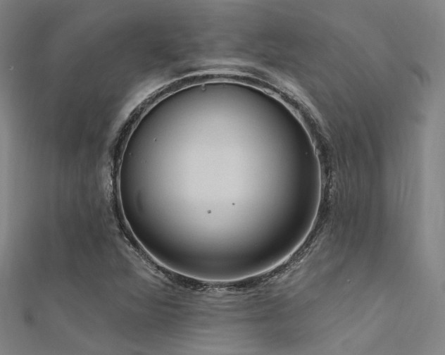 X0000112351360200908131419