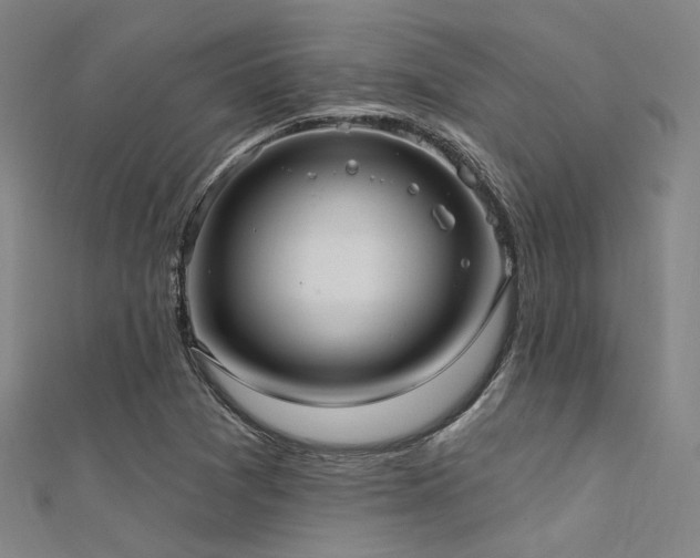 X0000112351361200908131419