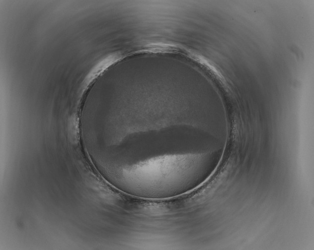 X0000112351362200908131419