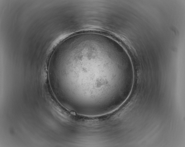 X0000112351363200908131419