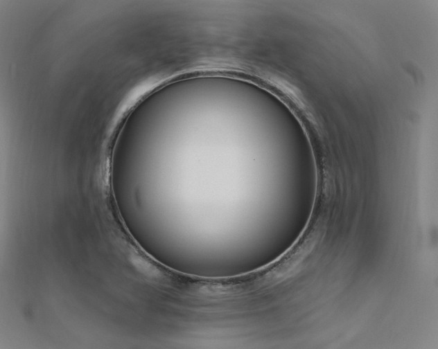 X0000112351366200908131419