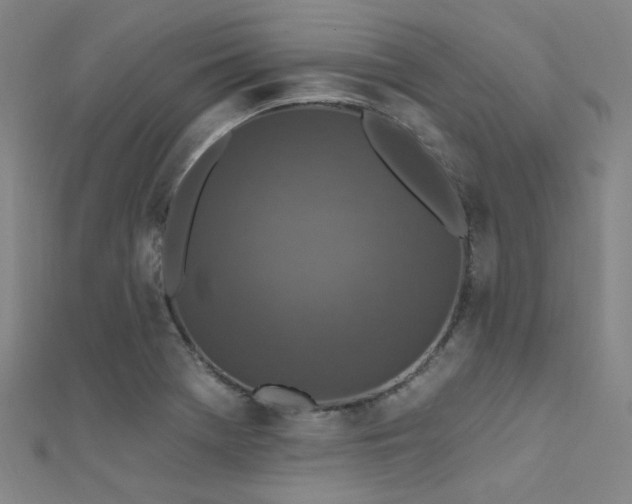 X0000112351369200908131419