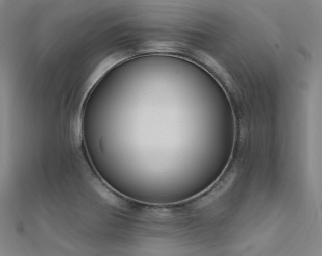 X0000112351370200908131419