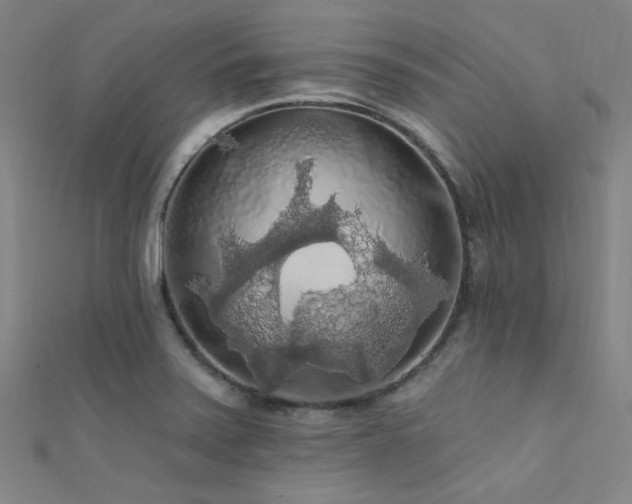 X0000112351371200908131419