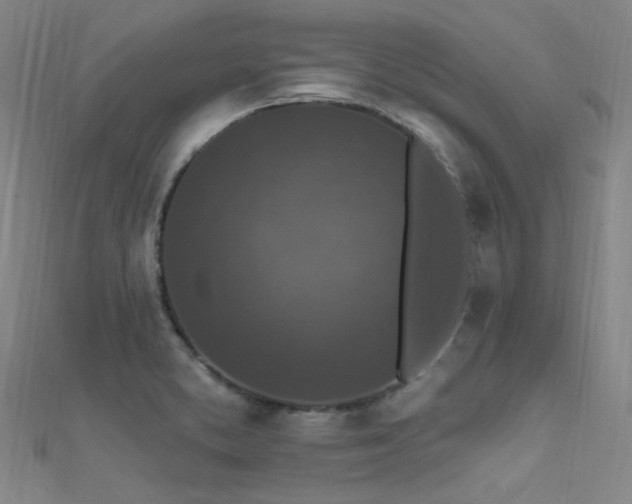X0000112351373200908131419