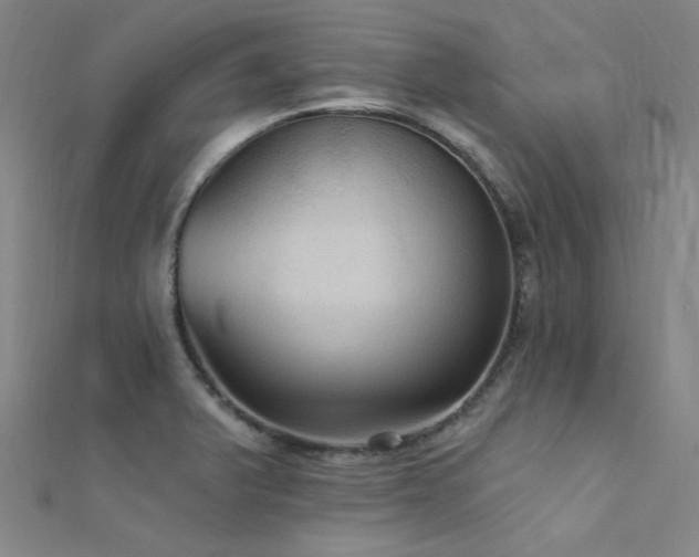 X0000112351375200908131419