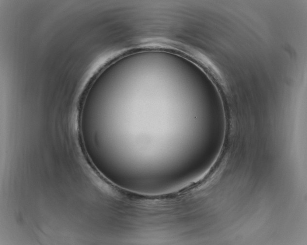 X0000112351376200908131419