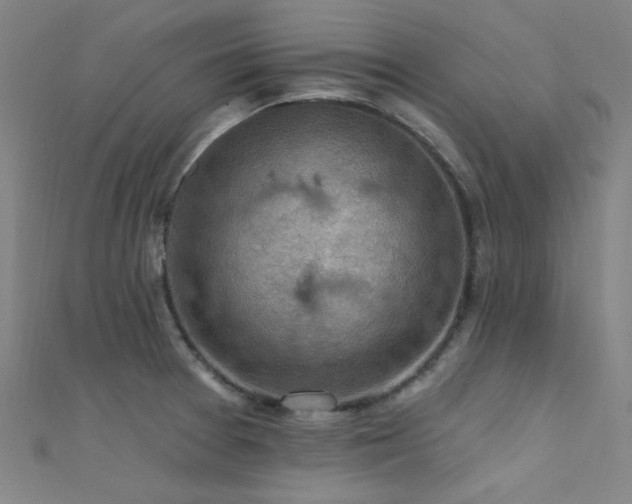 X0000112351377200908131419