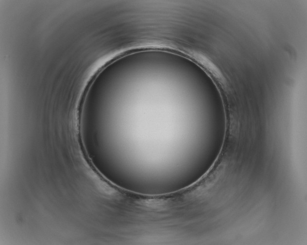 X0000112351380200908131419