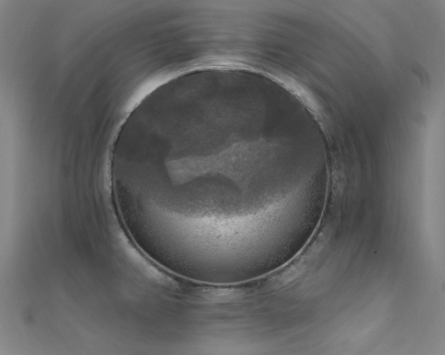 X0000112351382200908131419