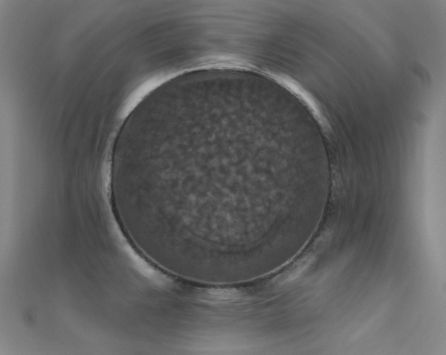 X0000112351383200908131419