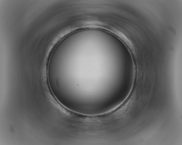 X0000112351384200908131419