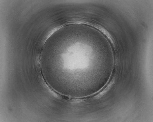 X0000112351385200908131419