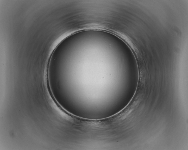 X0000112351387200908131419