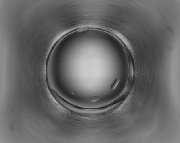 X0000112351388200908131419