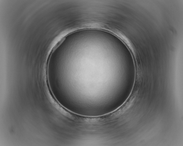 X0000112351389200908131419