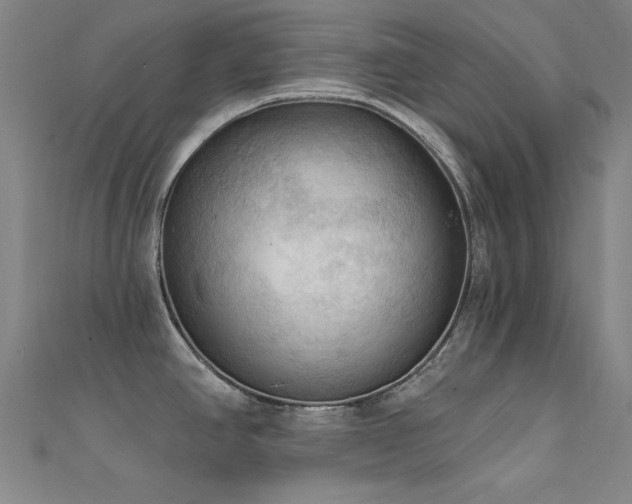 X0000112351390200908131419
