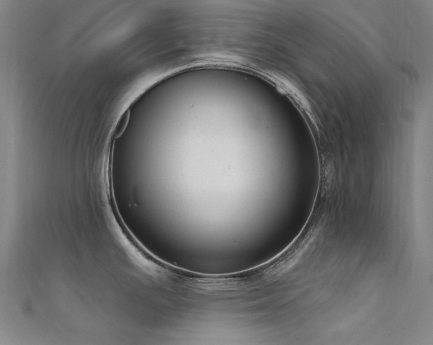 X0000112351391200908131419