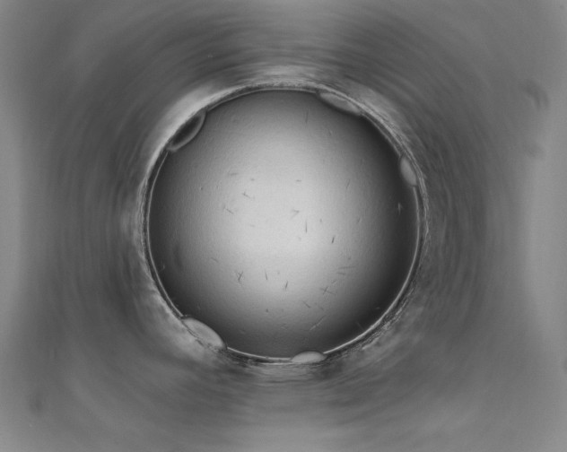 X0000112351392200908131419