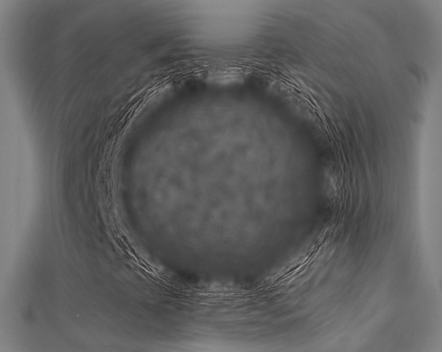 X0000112351393200908131418