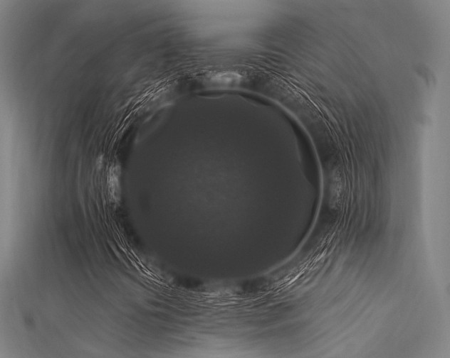 X0000112351394200908131418