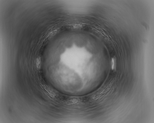 X0000112351395200908131418