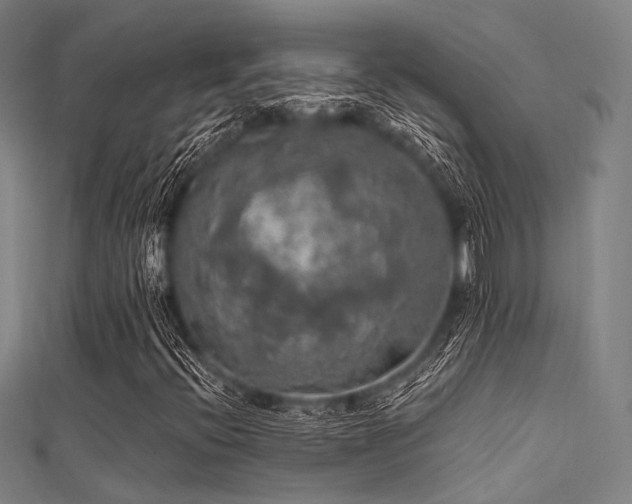 X0000112351396200908131418